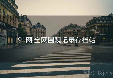 91网 全网围观记录存档站