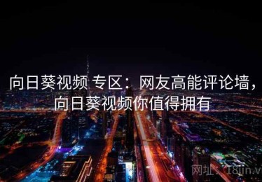 向日葵视频 专区：网友高能评论墙，向日葵视频你值得拥有