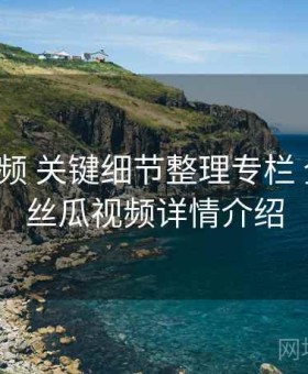 丝瓜视频 关键细节整理专栏 全记录，丝瓜视频详情介绍