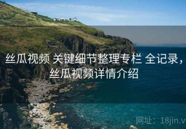 丝瓜视频 关键细节整理专栏 全记录，丝瓜视频详情介绍