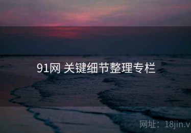 91网 关键细节整理专栏
