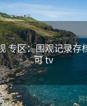 可可影视 专区：围观记录存档站，可可 tv