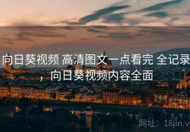 向日葵视频 高清图文一点看完 全记录，向日葵视频内容全面