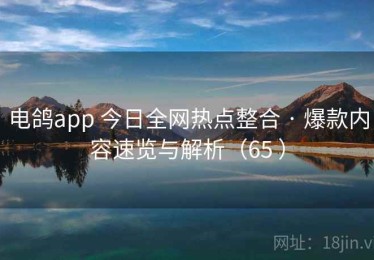 电鸽app 今日全网热点整合 · 爆款内容速览与解析（65 ）