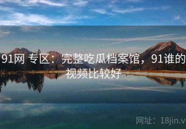 91网 专区：完整吃瓜档案馆，91谁的视频比较好