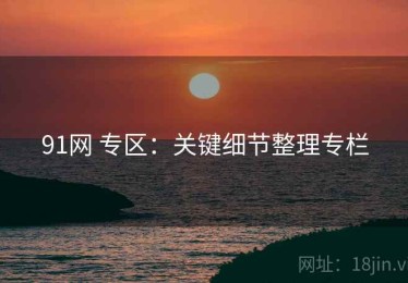 91网 专区：关键细节整理专栏