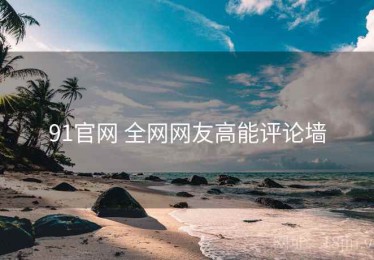 91官网 全网网友高能评论墙