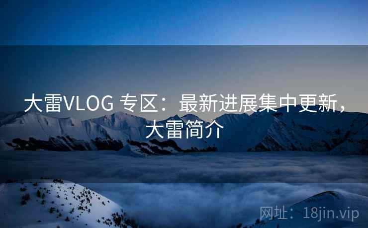 大雷VLOG 专区：最新进展集中更新，大雷简介