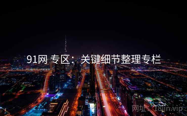 91网 专区：关键细节整理专栏