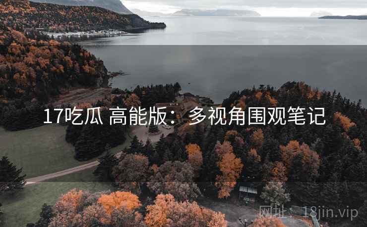 17吃瓜 高能版：多视角围观笔记