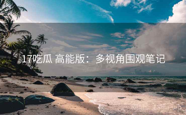 17吃瓜 高能版：多视角围观笔记