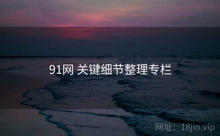 91网 关键细节整理专栏 91网 关键细节整理专栏